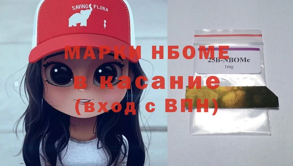 сатива Вяземский