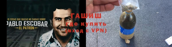 сатива Вяземский