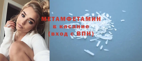 сатива Вяземский