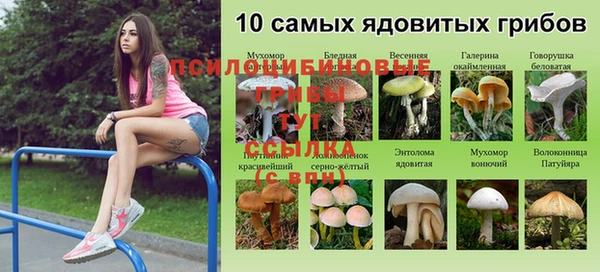шишки Ступино