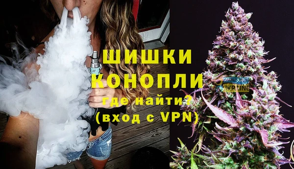 сатива Вяземский